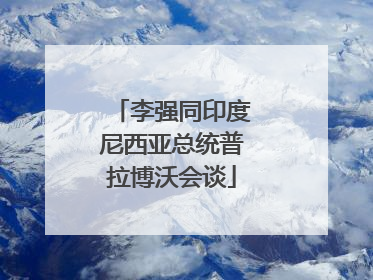 李强同印度尼西亚总统普拉博沃会谈