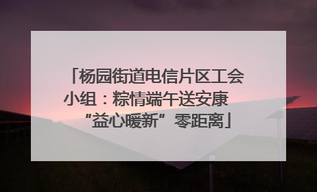 杨园街道电信片区工会小组：粽情端午送安康 “益心暖新”零距离