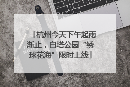 杭州今天下午起雨渐止，白塔公园“绣球花海”限时上线