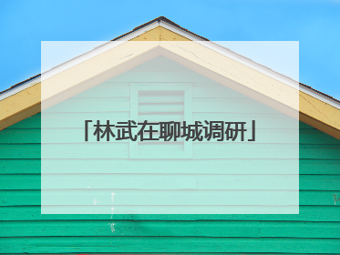 林武在聊城调研