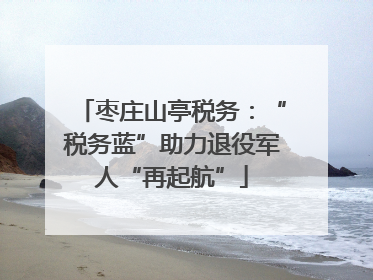 枣庄山亭税务：“税务蓝”助力退役军人“再起航”