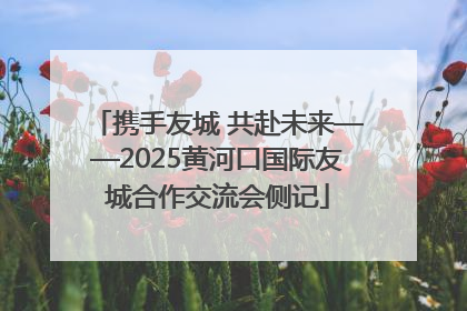 携手友城 共赴未来——2025黄河口国际友城合作交流会侧记