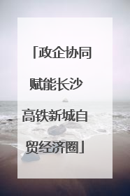 政企协同 赋能长沙高铁新城自贸经济圈