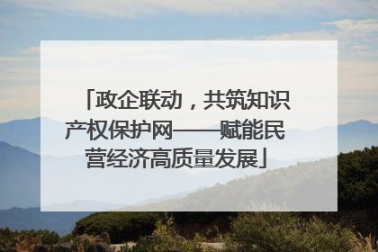 政企联动，共筑知识产权保护网——赋能民营经济高质量发展