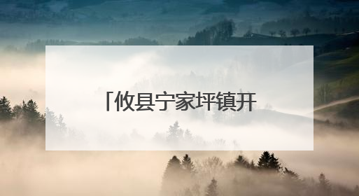 攸县宁家坪镇开展无偿献血活动