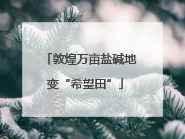 敦煌万亩盐碱地变“希望田”