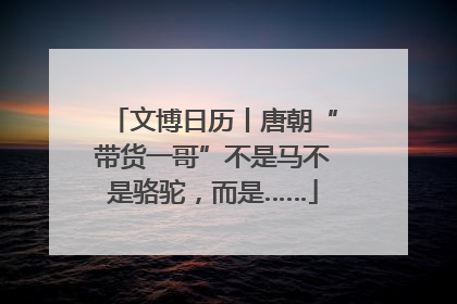 文博日历丨唐朝“带货一哥”不是马不是骆驼，而是……