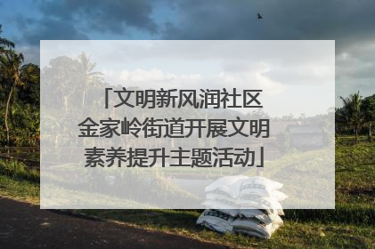 文明新风润社区 金家岭街道开展文明素养提升主题活动
