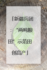 新疆兵团：“两吨粮田”示范田创高产