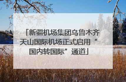 新疆机场集团乌鲁木齐天山国际机场正式启用“国内转国际”通道