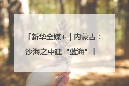 新华全媒+｜内蒙古：沙海之中建“蓝海”