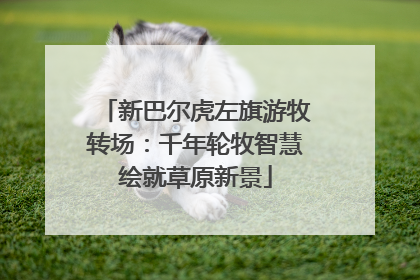 新巴尔虎左旗游牧转场：千年轮牧智慧绘就草原新景