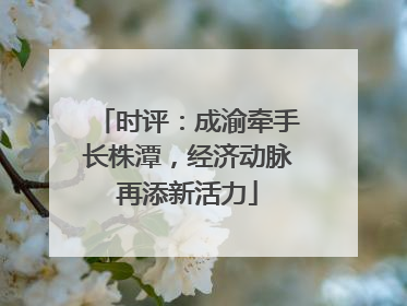 时评：成渝牵手长株潭，经济动脉再添新活力