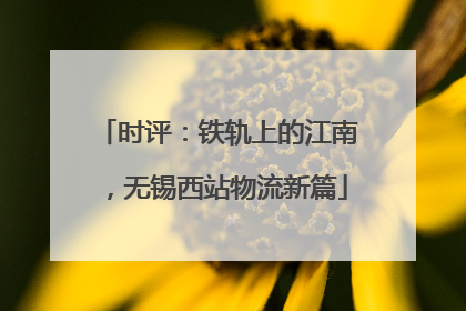 时评：铁轨上的江南，无锡西站物流新篇