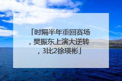 时隔半年重回赛场，樊振东上演大逆转，3比2徐瑛彬