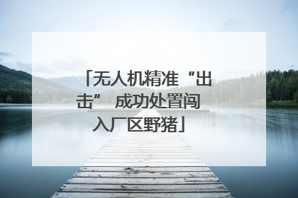 无人机精准“出击” 成功处置闯入厂区野猪