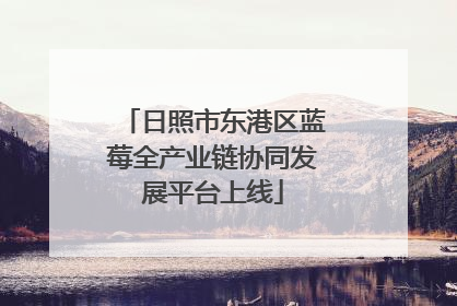 日照市东港区蓝莓全产业链协同发展平台上线