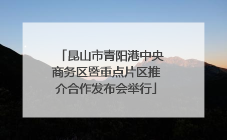 昆山市青阳港中央商务区暨重点片区推介合作发布会举行