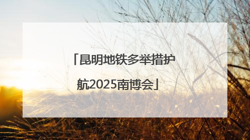 昆明地铁多举措护航2025南博会