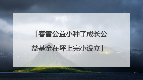 春雷公益小种子成长公益基金在坪上完小设立