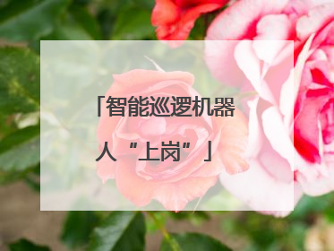 智能巡逻机器人“上岗”