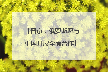 普京：俄罗斯愿与中国开展全面合作