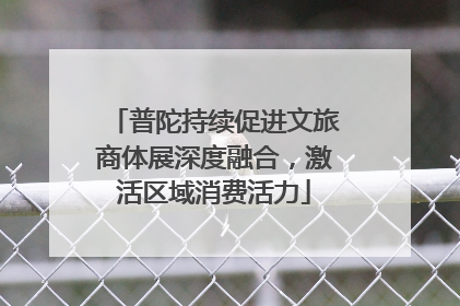 普陀持续促进文旅商体展深度融合，激活区域消费活力
