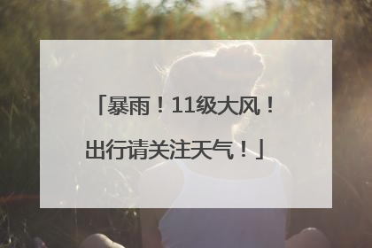 暴雨！11级大风！出行请关注天气！