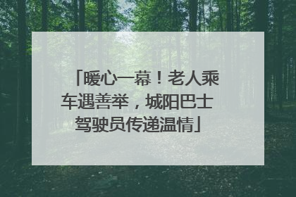 暖心一幕！老人乘车遇善举，城阳巴士驾驶员传递温情