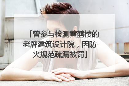 曾参与检测黄鹤楼的老牌建筑设计院，因防火规范疏漏被罚
