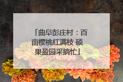 曲阜彭庄村：百亩樱桃红满枝 硕果盈园采摘忙