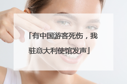 有中国游客死伤，我驻意大利使馆发声