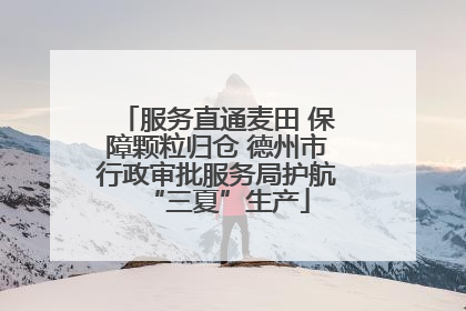服务直通麦田 保障颗粒归仓 德州市行政审批服务局护航“三夏”生产