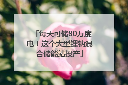 每天可储80万度电！这个大型锂钠混合储能站投产