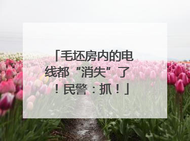 毛坯房内的电线都“消失”了！民警：抓！