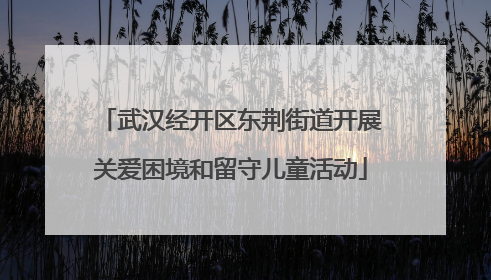 武汉经开区东荆街道开展关爱困境和留守儿童活动