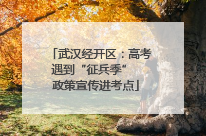 武汉经开区：高考遇到“征兵季”  政策宣传进考点