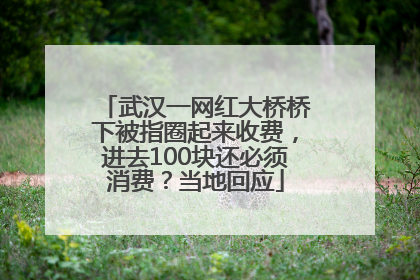 武汉一网红大桥桥下被指圈起来收费，进去100块还必须消费？当地回应