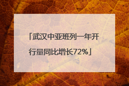 武汉中亚班列一年开行量同比增长72%