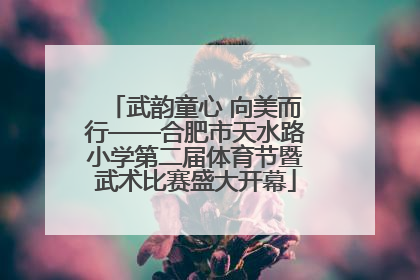 武韵童心 向美而行——合肥市天水路小学第二届体育节暨武术比赛盛大开幕