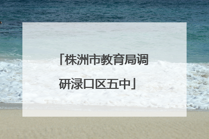 株洲市教育局调研渌口区五中