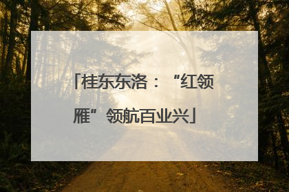 桂东东洛：“红领雁”领航百业兴