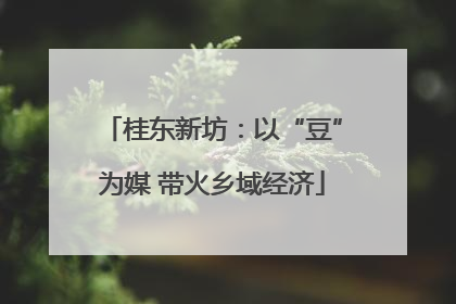 桂东新坊：以“豆”为媒 带火乡域经济