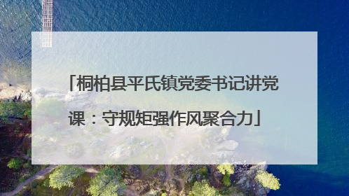 桐柏县平氏镇党委书记讲党课：守规矩强作风聚合力