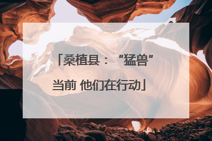 桑植县：“猛兽”当前 他们在行动