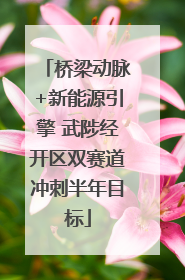 桥梁动脉+新能源引擎 武陟经开区双赛道冲刺半年目标