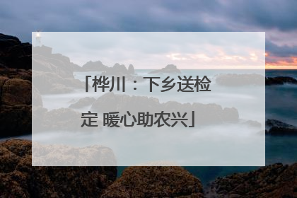 桦川：下乡送检定 暖心助农兴