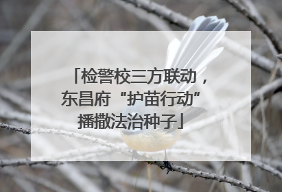 检警校三方联动，东昌府“护苗行动”播撒法治种子