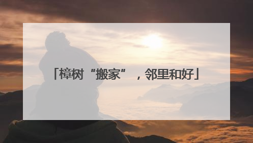 樟树“搬家”，邻里和好