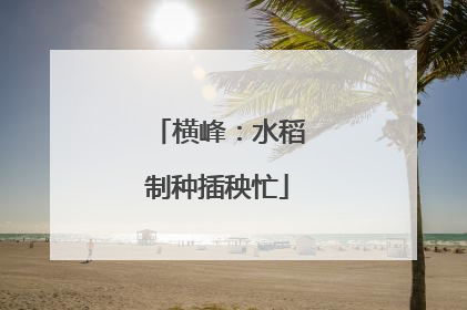 横峰：水稻制种插秧忙